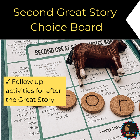 Second Great Story Choice Board | Montessori Cosmic Education Follow-Up Activities for Kids(cosmic)