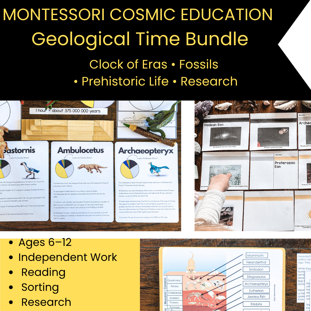 Montessori Geological Time & Timeline of Life Bundle | Clock of Eras, Fossils & Prehistoric Life