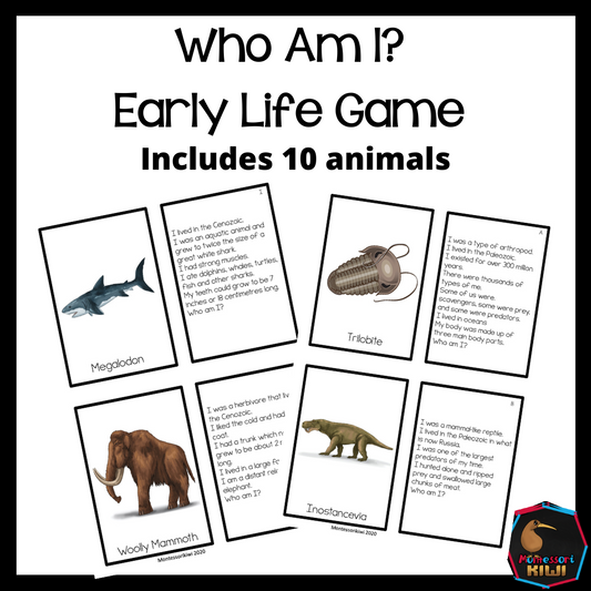 Early Life Who Am I (cosmic) - subscription - montessorikiwi