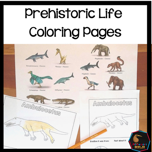 Early life coloring pages (cosmic) - subscription - montessorikiwi