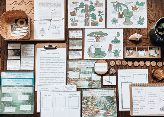 Plant Adaptations for Montessori