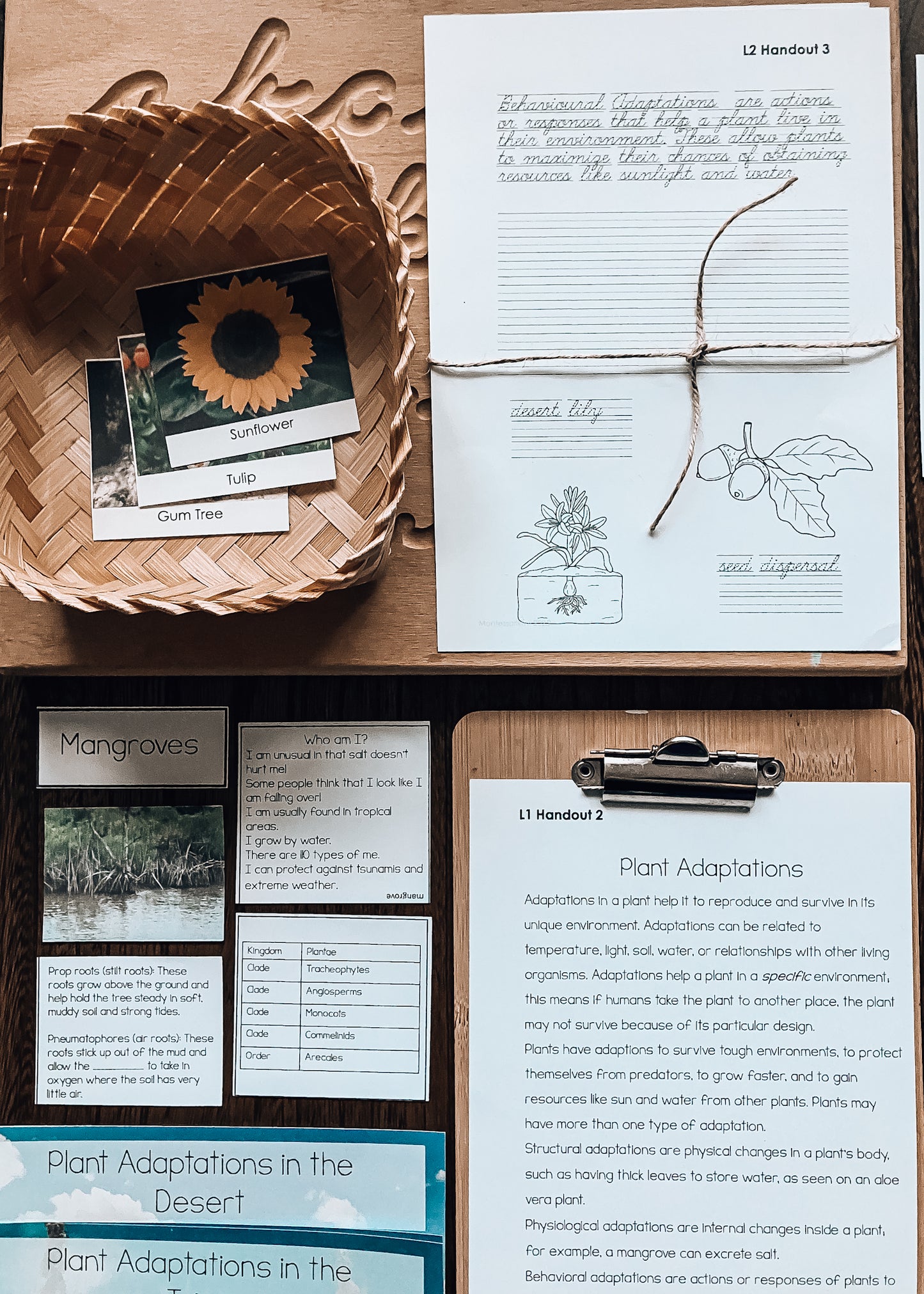 Plant Adaptations for Montessori