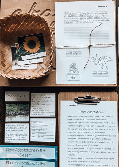 Montessori Plant Adaptations Pack (Ages 7–11) – Explore Survival & Environments Through Inquiry Learning
