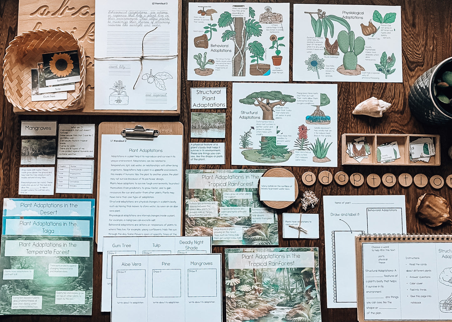 Plant Adaptations for Montessori