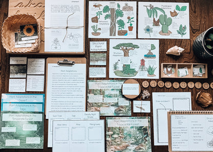 Montessori Plant Adaptations Pack (Ages 7–11) – Explore Survival & Environments Through Inquiry Learning