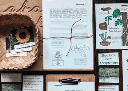 Montessori Plant Adaptations Pack (Ages 7–11) – Explore Survival & Environments Through Inquiry Learning