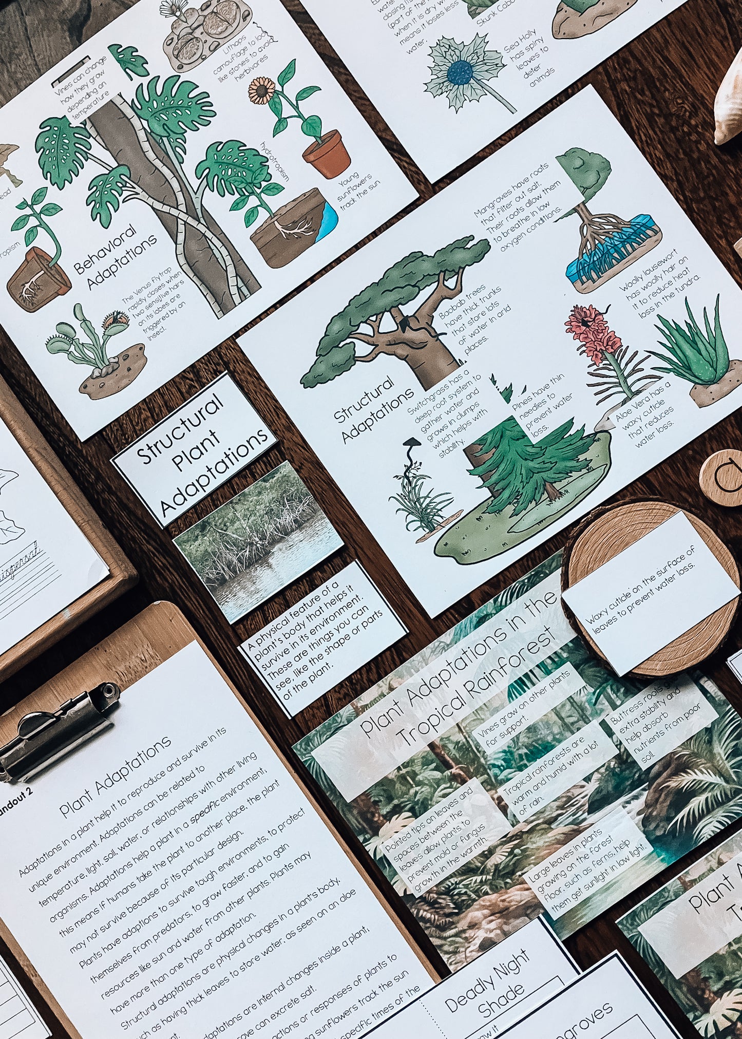 Plant Adaptations for Montessori