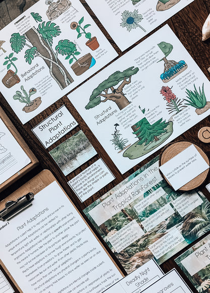 Montessori Plant Adaptations Pack (Ages 7–11) – Explore Survival & Environments Through Inquiry Learning