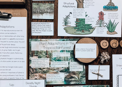 Montessori Plant Adaptations Pack (Ages 7–11) – Explore Survival & Environments Through Inquiry Learning