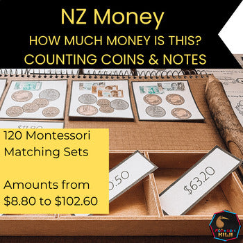 New Zealand Money Level 3:  How much money is this