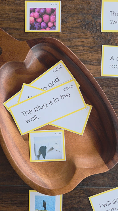 Modern Montessori Reading SOR CCVC Picture to Sentence Match (literacy)