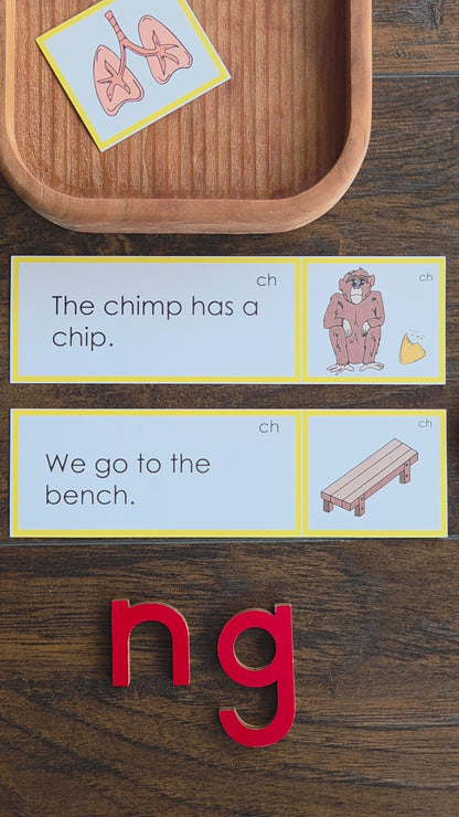 Modern Montessori Reading SOR Digraph th ch sh ng picture to sentence match (literacy)