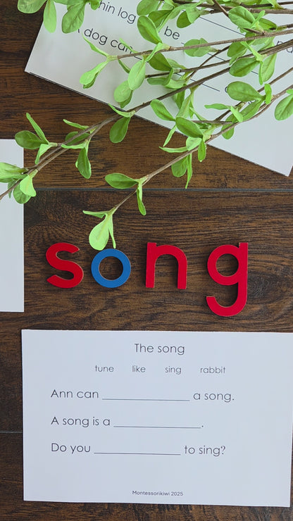Modern Montessori Reading SOR simple reading comprehension fill in gaps  (literacy)