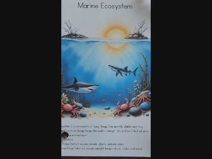 Marine Ecology Activities for Upper Elementary Montessori Learners