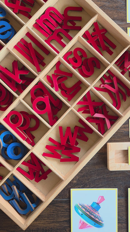 Modern Montessori Reading: CCVC Word to Picture Match (literacy)