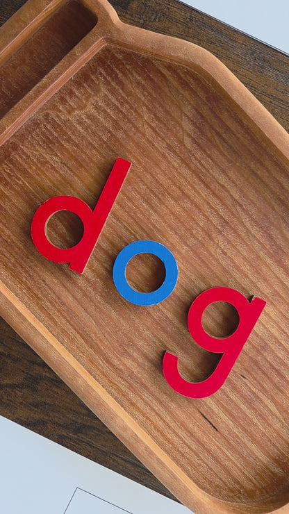 Modern Montessori Reading - Rhyming clip and flip cards (literacy)