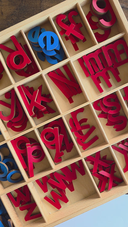 Modern Montessori Reading SOR Y makes 3 sounds activities  (literacy)