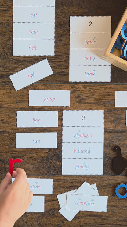 Modern Montessori Reading SOR syllable sort with schwa sound words  (literacy)