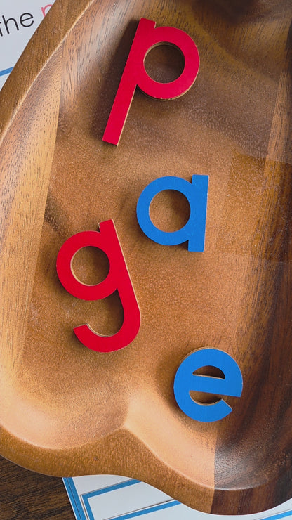 Modern Montessori Reading: -dge and -tch reassemble the word for trigaph endings (literacy)
