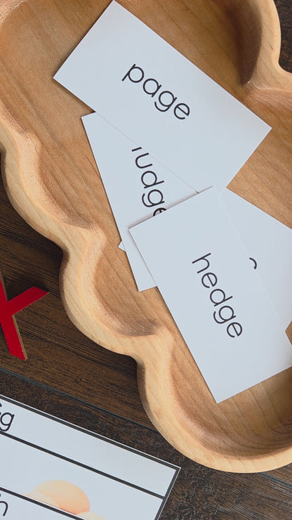Modern Montessori Reading: Odd One Out initial sound isolation does not belong (literacy)