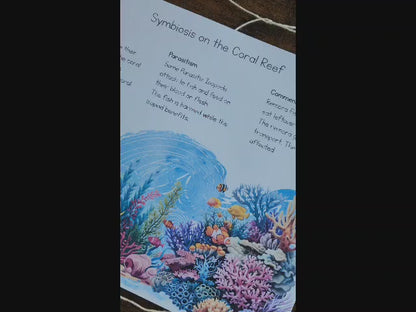 Montessori Aligned Symbiosis Activities for Upper Elementary