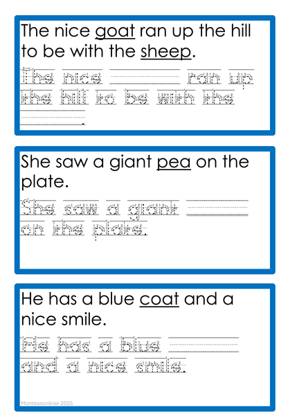 Modern Montessori Reading SOR Vowel Team Fill in the Gaps Writing + Handwriting (literacy)