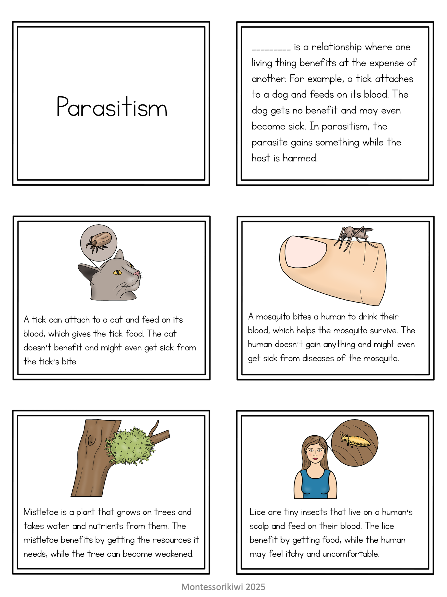 Symbiosis Sort for 9-12 commensalism parasitism mutualism