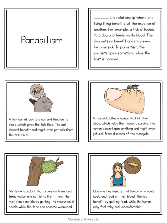 Symbiosis Sort for 9-12 commensalism parasitism mutualism