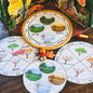 Southern Hemisphere Seasonal Wheel - montessorikiwi