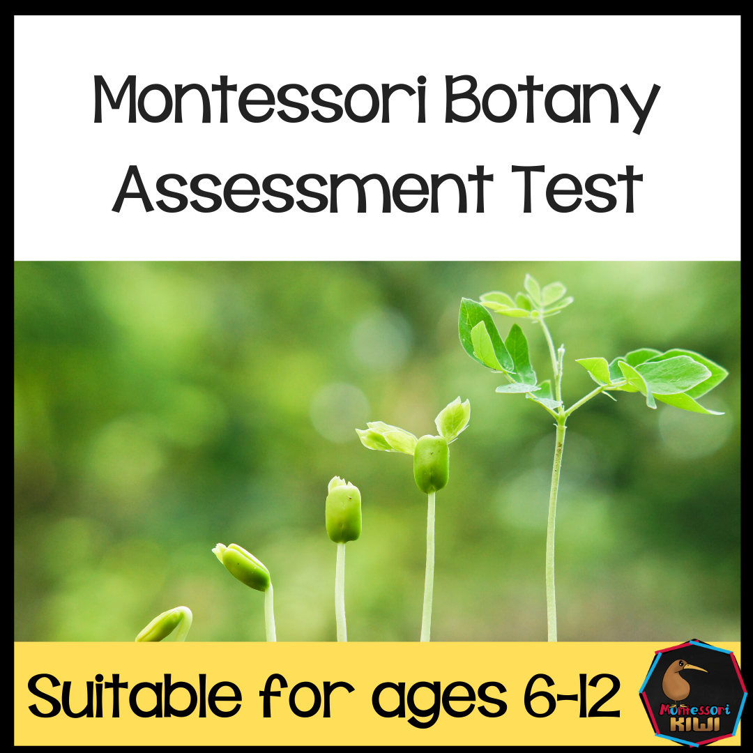Montessori Botany Test for Assessment - montessorikiwi
