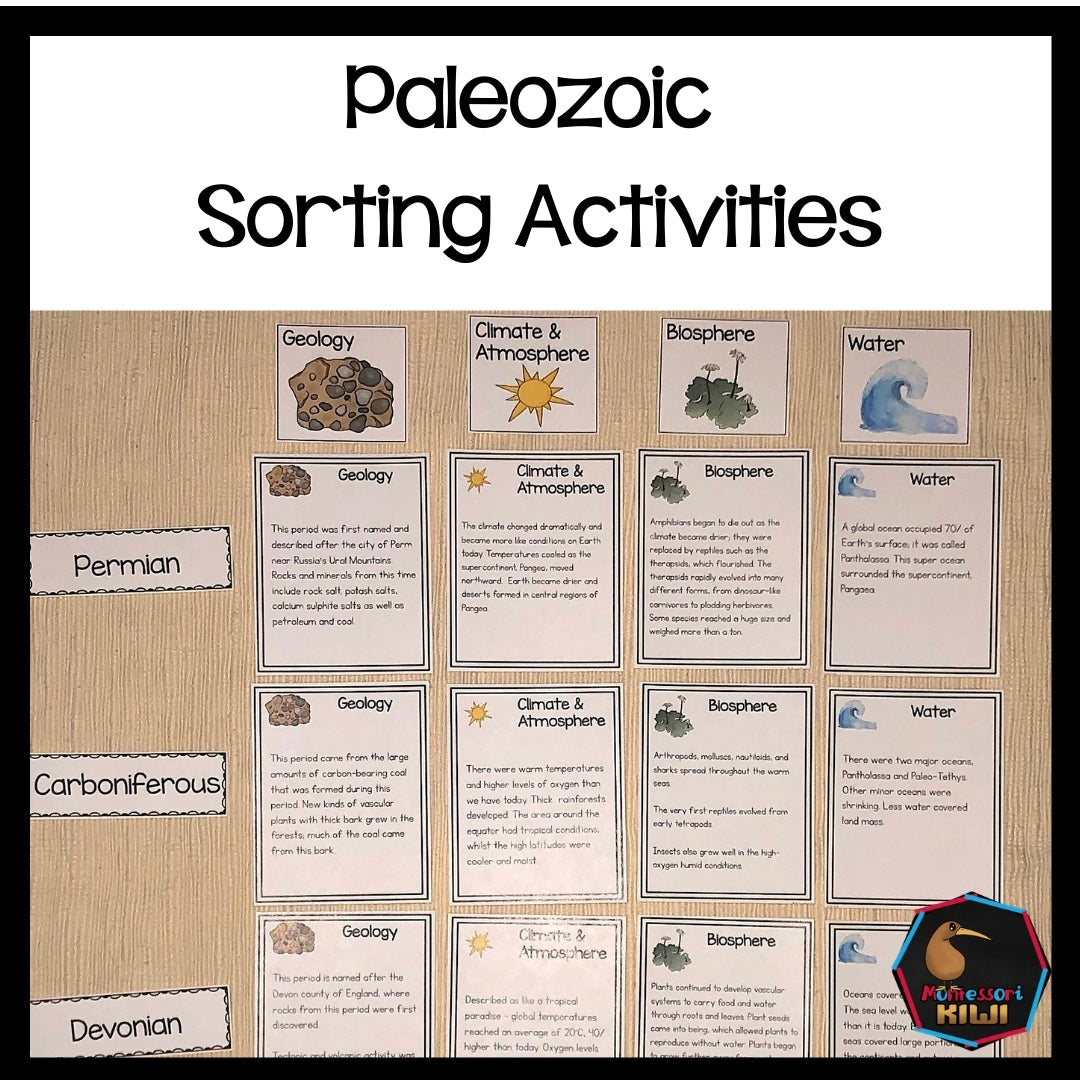 Paleozoic Sorting Activity (cosmic) - montessorikiwi