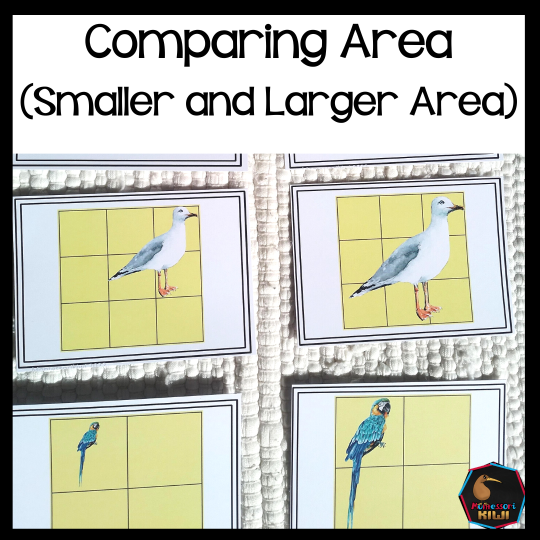 Montessori Area: Comparing size sort and count activity (math) - montessorikiwi