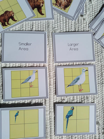 Montessori Area: Comparing size sort and count activity (math) - montessorikiwi