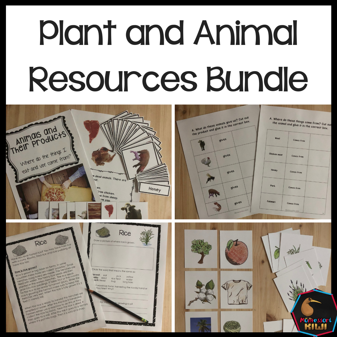 Plants and animals uses and resources bundle - montessorikiwi