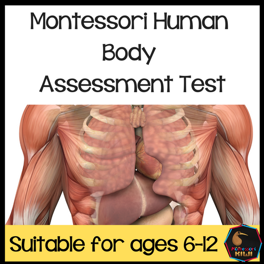 Montessori Human Body test for assessment - montessorikiwi