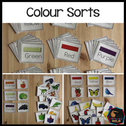 Color Sorts - montessorikiwi