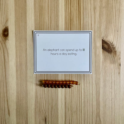 Nature themed golden bead cards (numbers in context) - montessorikiwi