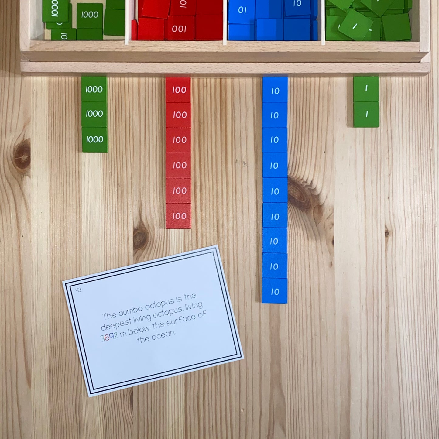 Nature themed golden bead cards (numbers in context) - montessorikiwi