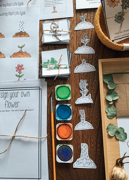 Montessori Inspired Pollination Resource - montessorikiwi