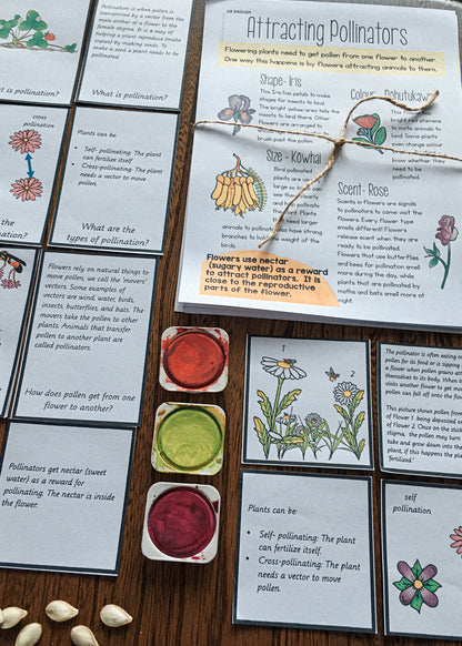 Montessori Inspired Pollination Resource - montessorikiwi