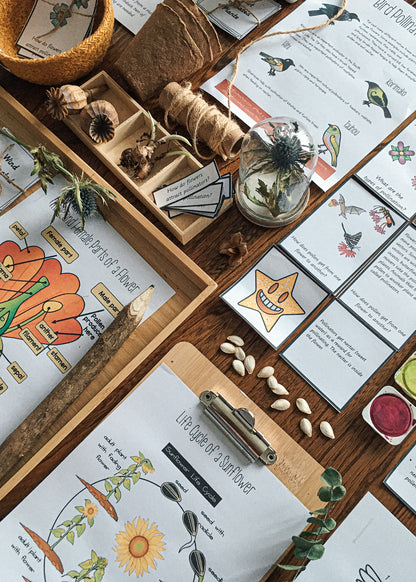 Montessori Inspired Pollination Resource - montessorikiwi