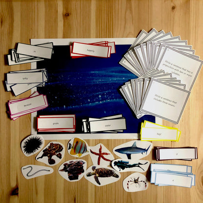 Montessori Miniature Environment: Ocean  (literacy) - montessorikiwi