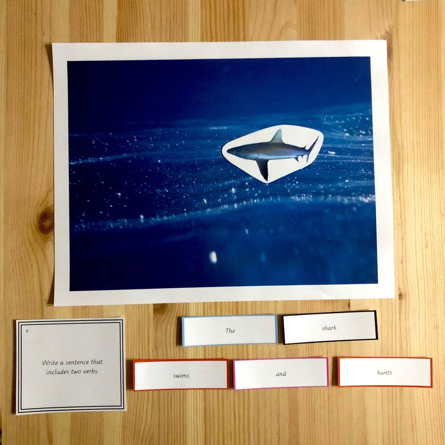 Montessori Miniature Environment: Ocean  (literacy) - montessorikiwi