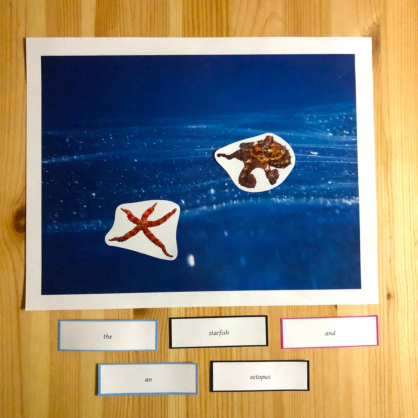 Montessori Miniature Environment: Ocean  (literacy) - montessorikiwi