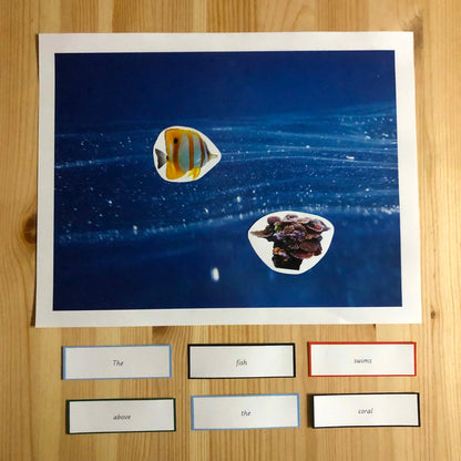 Montessori Miniature Environment: Ocean  (literacy) - montessorikiwi