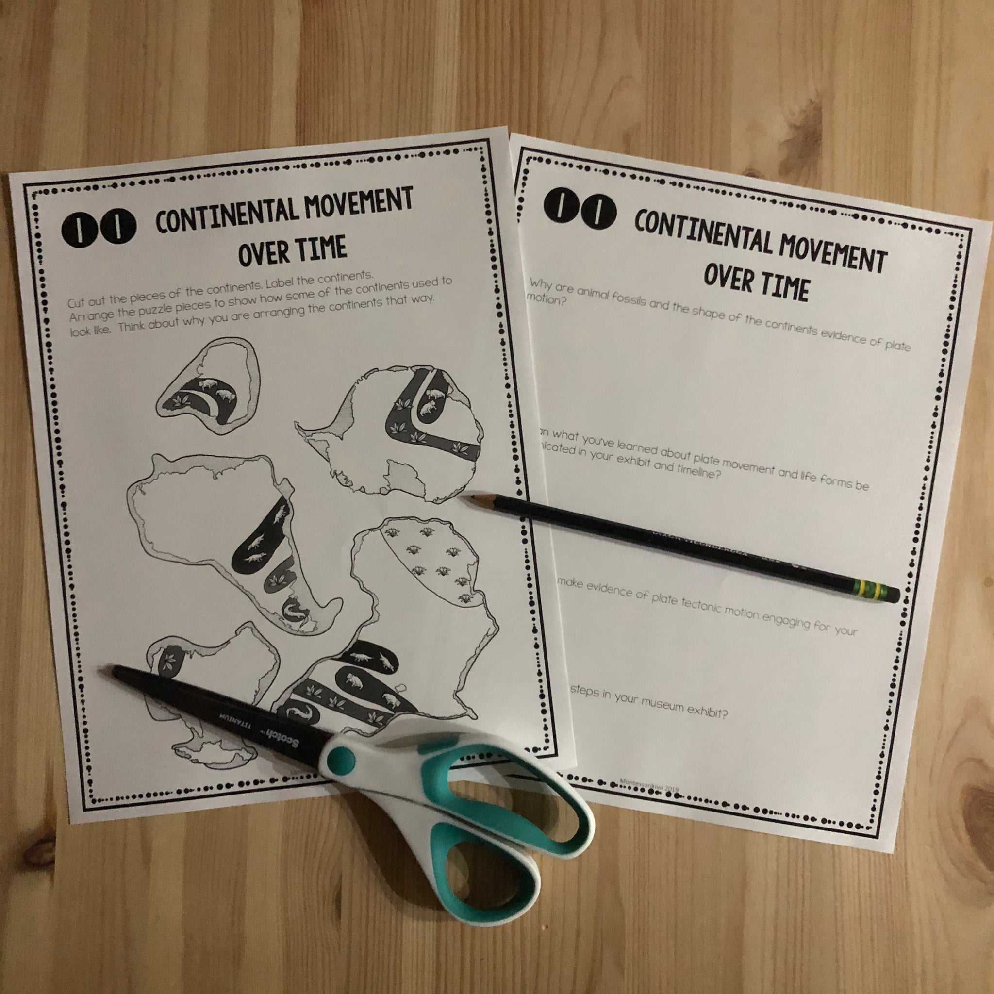 Museum Exhibit: Exploring Geological Time A PBL Unit – montessorikiwi