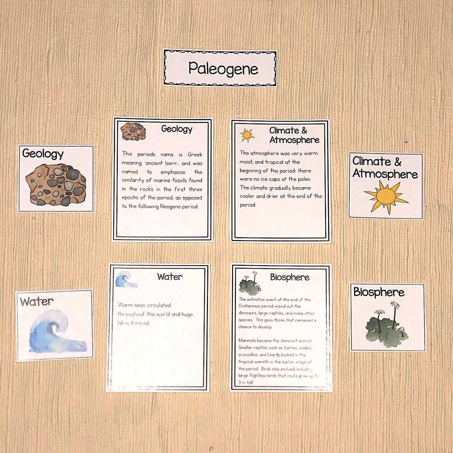 Paleozoic, Mesozoic, & Cenozoic Activities Bundle - montessorikiwi