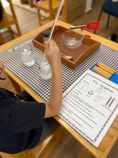 Leyes del Universo: Experimentos científicos de acompañamiento para la Primera Gran Historia (Laws of the universe) - montessorikiwi