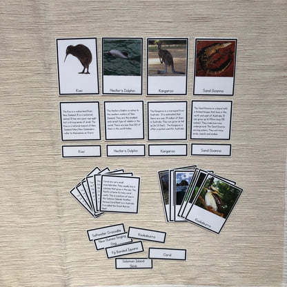 Oceania animals - montessorikiwi
