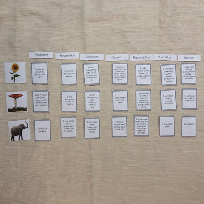 MRS GREN comparison between fungi, animal and plants - montessorikiwi